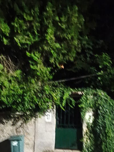 The image depicts a stone building partially obscured by dense green foliage. A dark green metal gate is visible in the center right of the frame, set into an opening in the building. To the left of the gate, a lighter colored, possibly white or light gray, square shape is set into the stone wall. Below this, a smaller, light blue door or panel is visible. The overall scene is dimly lit, suggesting it was taken at night or in a shaded area. The foliage is lush and appears to be growing over and around the structure. The building itself appears to be constructed from rough-hewn stone blocks. The location is identified as Harmanli, Bulgaria.
