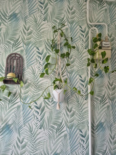 This media file captures a close-up, overhead view of a wall adorned with a tropical palm leaf pattern wallpaper in shades of green and blue. Mounted on the wall are a white electrical conduit and a beige electrical meter box, with some visible text on the meter box reading "NPM GL GA N". A Pothos vine, with variegated green leaves, cascades down from a white hanging planter. The vine's tendrils stretch across the wallpaper, with some leaves reaching towards a small, dark wooden wall-mounted shelf holding a yellow object that appears to be a bar of soap. The lighting suggests an indoor setting with ambient light, and there are no indications of time of day or weather. The scene conveys a sense of domestic interior decoration with a natural, botanical theme. The location context of Petrozavodsk, Russia is noted but not visually apparent within the image itself.