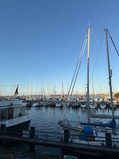 This is a daytime, eye-level, outdoor photograph of a harbor in Warnemünde, a seaside resort district of Rostock, Germany. The scene is dominated by the clear blue sky and a multitude of sailboats moored in the water. The water is calm and reflects the masts and rigging of the boats. A wooden pier or walkway runs along the foreground, with railings.
In the foreground, to the left, is the side of a larger vessel with the text "Käpp'n Bruss" and "Warnemünde /D" visible. The vessel is white with a dark green hull.
Further into the harbor, numerous sailboats are neatly docked. Their masts, with intricate rigging, create a strong vertical element against the sky. The sails are furled. Some boats have covers on their booms or cockpits, one of which is bright blue.
In the middle ground, beyond the sailboats, a body of water stretches towards a distant shoreline. On the distant shoreline, buildings with light-colored facades are visible. A body of water with a darker hue appears to be a channel or further out at sea, with more boats visible. A flag, appearing to be the German flag, is visible on the left side of the image, flying from a mast on a boat.
In the sky, a single bird is visible as a small dark silhouette in the upper left quadrant of the image. The overall atmosphere is serene and peaceful, characteristic of a harbor setting on a clear day. The lighting suggests it is either early morning or late afternoon due to the long shadows and the quality of the light.