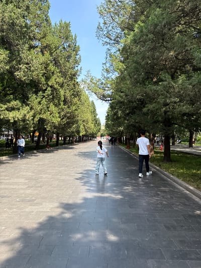 A wide, paved walkway lined with mature trees stretches into the distance under a clear blue sky. The walkway is made of large, dark grey rectangular stones, with patches of sunlight and shadow from the trees.
In the foreground, a young girl in a white t-shirt and grey pants stands with her back to the camera, facing further down the path. To her right, a man in a white t-shirt and black pants walks away from the camera. Further down the walkway, on the left side, a woman in a light blue shirt and dark jeans walks towards the camera. Other people are visible in the background, walking or sitting on benches.
The trees are tall and have dense green foliage, creating a canopy over parts of the walkway. The ground on either side of the path is covered in grass and some small plants. In the background, glimpses of buildings and what appear to be lampposts or decorative structures can be seen between the trees. The overall impression is of a well-maintained park or public space. The scene appears to be in the city of Dongcheng District, China.