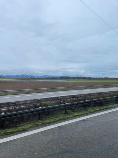 The image depicts an expansive rural landscape near Mengen, Germany, viewed from what appears to be a moving vehicle on a multi-lane highway under an overcast sky.
In the immediate foreground, the dark gray asphalt of a road is visible, marked by a solid white lane line at the bottom. A metal guardrail, consisting of horizontal beams supported by dark vertical posts, spans horizontally across the lower mid-section of the frame, separating the foreground road from a narrow median strip. This median contains dark, damp soil, interspersed with patches of bright green moss-like vegetation and sparse, leafless brown shrubs.
Beyond the guardrail, a parallel section of paved road, likely for opposing traffic, is visible, also with a solid white line. Further back, vast agricultural fields dominate the midground, characterized by large expanses of reddish-brown tilled earth, some areas appearing damp or partially flooded with lighter brown reflections. In the right-center portion of these fields, a small cluster of light-colored objects, consistent with livestock such as sheep, is present. A faint line of dark green trees or bushes marks the distant edge of the fields.
On the distant horizon, near the center-right, a prominent dark church spire or tower rises above the tree line, indicative of a settlement, identified as being in or near Mengen. Beyond this, a low range of hills or mountains is visible, partially obscured by a grayish atmospheric haze or low-lying clouds. The sky occupies the upper third of the image, uniformly covered with a thick layer of gray and white clouds, indicating an overcast day. No human figures or discernible human actions are present. The scene is static, captured under natural ambient light.