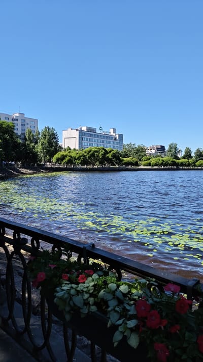 This is a vertical, medium-shot, outdoor, daytime photograph taken in Vyborg, Russia. The foreground features a black metal railing with a planter box containing red and pink flowers and green foliage. Behind the railing is a dark, rippling body of water covered with green lily pads. In the middle ground, a tree-lined promenade runs along the waterfront, with several figures walking on it. The background showcases a modern, multi-story white building with the word "WELCOME" and a logo visible on its facade, situated behind the trees. To the left of this building is a lighter-colored apartment building. The sky is a clear, bright blue. The overall scene depicts a waterfront area with a blend of natural elements and urban architecture.