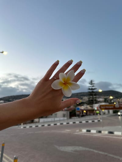 A close-up, eye-level shot captures a person's left hand, adorned with a delicate ring, holding a white and yellow frangipani flower. The hand is positioned in the foreground, with the flower resting on the palm and slightly obscuring the wrist. The background shows a paved street with black and white curb markings, suggesting an urban setting. In the distance, a hazy view of buildings and hills is visible under a pale blue sky with scattered clouds. The scene appears to be set in Peyia, Cyprus, given the presence of a street sign indicating "Saint George." The lighting suggests it is either dawn or dusk, with a soft, diffused light illuminating the scene.