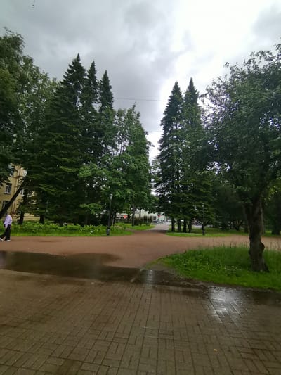 The image shows an outdoor scene in Zelenogorsk, Russia, on a cloudy day. The foreground features a wet, paved walkway with a reddish-brown path curving away to the right and into the distance. Puddles of water are visible on both the walkway and the path, indicating recent rain.
To the left, a person in a light-colored shirt and dark pants is walking away from the camera. Beyond the path, a line of tall, mature trees, predominantly evergreen with some deciduous trees interspersed, forms a dense green backdrop. In the far left of the image, a section of a pale yellow building with white-framed windows is visible, suggesting an urban or suburban park setting.
Further into the park, a lamppost stands on the right side of the path. The sky is overcast with dark, heavy clouds, contributing to a somber or peaceful atmosphere. The overall impression is of a quiet, slightly damp park on a day with inclement weather. There is no visible text in the image.