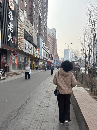 The image depicts a daytime street scene in an urban area of Dadong District, China, under an overcast sky. In the immediate foreground, the back of an individual walking away from the camera is visible. This person wears a light beige quilted hooded jacket, dark pants, and white-soled shoes, one of which exhibits a leopard print pattern on the heel. A black shoulder bag with a gold-colored clasp is worn across their body.

The ground consists of a grey concrete sidewalk with textured tactile paving strips on the right, adjacent to a wooden bench structure and several leafless trees or bushes. To the left of the foreground subject is an asphalt street or wide pedestrian thoroughfare. Multiple pedestrians are visible further down the street; one woman in a light grey puffer jacket and dark pants, carrying a white bag, walks towards the camera on the left side of the street. A white scooter is parked on the far left.

Along the left side of the street, a continuous row of multi-story commercial buildings features various storefronts with prominent Chinese signage. Visible store names include "乐老大" (Le Laoda) and "茶百道 Chabaidao," the latter featuring a panda logo. Beyond these commercial structures, taller residential or office buildings rise. In the distant background, several modern high-rise buildings and skyscrapers are visible against a pale, hazy sky, alongside streetlights and additional bare trees.