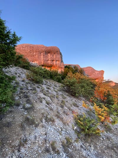 The image shows a rocky, sparsely vegetated hillside in Красномакское сельское поселение, Ukraine, under a clear blue sky. Large, reddish rock formations are visible in the upper portion of the frame, illuminated by warm, sunset-like light. The hillside is covered in small stones, pebbles, and patches of dry grass, with scattered green shrubs and trees. One tree in the foreground on the left is a dark green conifer. Other trees and shrubs further up the slope exhibit various shades of green and some are touched with autumnal colors of yellow and orange. The overall impression is a natural, rugged landscape. There are no people or animals visible in the image.
