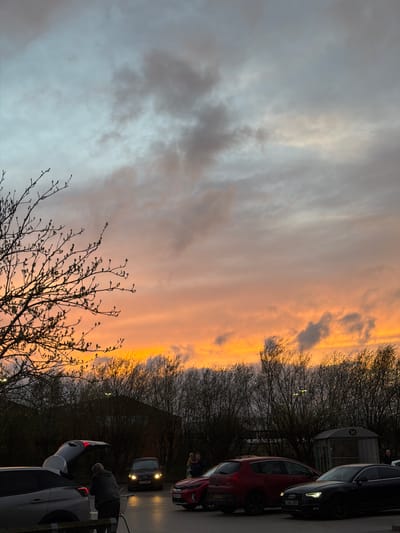 The image shows a street scene in Chester, United Kingdom at sunset. On the right of the image are several parked cars including an Audi and a red car, a small bus shelter, and several people. On the left is a sky with orange and grey clouds with the silhouette of a bare tree in the foreground. The scene is illuminated by the setting sun which has cast a warm glow upon the clouds and cars.