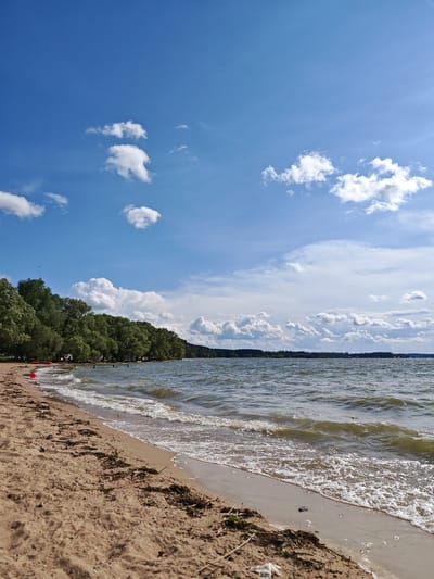 The image depicts a serene lakeside scene on a sunny day in Ждановіцкі сельскі Савет, Belarus. The foreground is a sandy beach with scattered debris, including twigs and dried vegetation. Gentle waves lap at the shore, creating a foamy white line where the water meets the sand. The water itself is a greenish-brown hue, with ripples indicating a light breeze.
In the mid-ground, a wooden pier extends into the lake, with several pilings visible. Beyond the pier, a dense line of lush green trees borders the far side of the lake. A bright red buoy is visible in the water near the shore, and another smaller red object, possibly another buoy, is further out. A small bird can be seen flying in the sky above the trees.
The sky is a vibrant blue, dotted with scattered white cumulus clouds. The overall impression is one of natural beauty and tranquility.