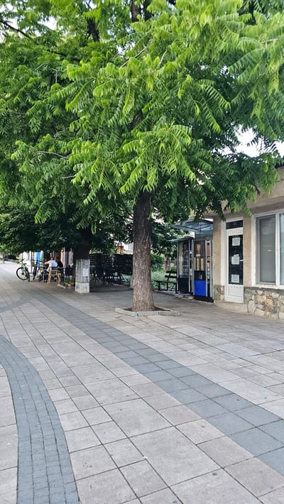This image captures a pedestrian area and an adjacent building in the city of Karlovo, Bulgaria, shaded by several large trees. The foreground consists of a paved surface made of light grey square concrete tiles, with darker grey rectangular tiles forming linear strips and a curved border on the left.
In the midground, several mature trees with dense, light green pinnate foliage dominate the scene, providing extensive shade. Beneath the trees on the left, an outdoor seating area is visible, furnished with multiple dark-colored tables and chairs, alongside a few lighter-colored chairs. Three individuals are seated at these tables; one person in a light-colored shirt is visible facing right, while others are partially obscured, suggesting a social gathering. Two bicycles, one green and one dark, are parked near the seating area on the far left. A light-colored concrete block or pedestal is situated near the base of the central tree.
The background features a single-story building on the right. Its lower facade is constructed from rough-hewn stone, transitioning to a light-colored (beige/off-white) plastered upper section. A white entrance door is visible, adorned with multiple rectangular informational signs. Adjacent to the door, beneath a translucent canopy, are two vending machines: one dark-colored and the other dark with a prominent blue lower section. A dark park bench is partially visible in front of the vending machines. More green foliage is present behind the building. The scene is illuminated by daylight, with the tree canopy creating significant shadows over the seating area.