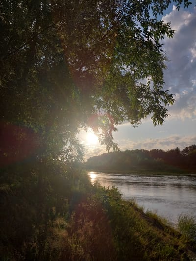 The image depicts a tranquil natural scene with a river flowing through a verdant landscape under a sky filled with clouds. The sun is visible, casting a warm glow and creating lens flare effects. Trees and foliage line the riverbank, with dense greenery dominating the foreground and extending into the background. The water reflects the sky and surrounding environment, appearing calm with ripples on its surface. The overall impression is one of a peaceful, sun-drenched day in a rural or natural setting. There is no indication of any specific location within the city of Chkalov, Russia, or any human presence.