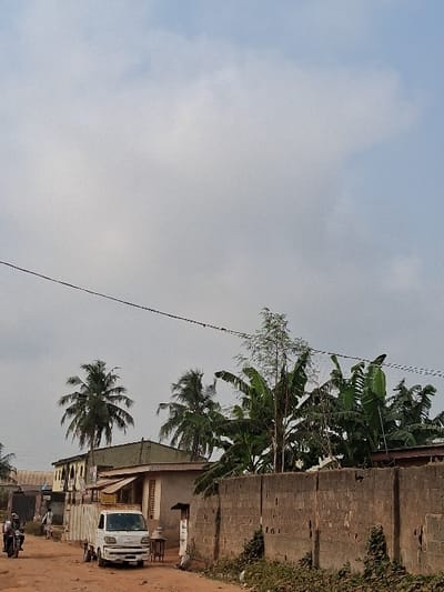 The image depicts a rural or semi-urban street scene in Egan, Nigeria, under an overcast sky with diffuse clouds. A reddish-brown unpaved dirt road dominates the foreground and extends into the midground.
**Subjects and Objects:**
* **Vehicles:** A white, compact utility van or small truck is parked on the right side of the road in the midground, facing slightly left. Its cargo bed is white. To the left, in the foreground, a dark-colored motorcycle with one rider is partially visible, oriented with its rear towards the viewer.
* **People:** One individual is visible on the motorcycle. A second individual is walking in the background on the left side of the road, near a building.
* **Buildings:** On the left, a multi-story building with yellow and darker sections and a dark roof is partially visible. Adjacent to it, a single-story light-colored building with a dark roof stands next to the dirt road. A small, dark stool or table is positioned near its entrance. On the right, a weathered concrete block wall, approximately 2-2.5 meters high, runs parallel to the road, with vegetation (vines/creepers) growing at its base.
* **Vegetation:** Multiple large palm trees with distinct fronds are scattered across the midground. A dense cluster of large-leafed banana or plantain trees is prominent behind the concrete wall and near the central light-colored building.
* **Infrastructure:** A single dark utility wire spans horizontally across the upper mid-section of the image.
**Actions and Interactions:**
The utility van is stationary. The motorcycle with its rider appears to be either stationary or in slow motion. The pedestrian is walking. The scene appears calm and devoid of immediate active interactions between the visible individuals.