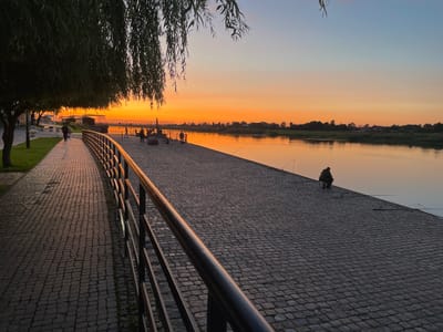 The image depicts a waterfront promenade in Sovetsk, Russia, during sunset. A paved walkway with a black metal railing lines the left side of the image, bordered by a grassy area and trees, one of which is a large willow with drooping branches in the foreground. The walkway leads towards a bridge in the distance. The right side of the image features a wide, calm river reflecting the vibrant orange and yellow hues of the setting sun. Several people are present on the cobblestone embankment along the river. One individual is seated and fishing, with fishing rods visible in the water. Other figures are scattered along the embankment, some walking and others gathered in small groups. The sky transitions from a bright orange near the horizon to a soft blue overhead. The overall scene conveys a peaceful, late-evening atmosphere.