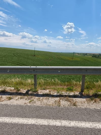 The image depicts a rural landscape with a vast green field stretching across rolling hills under a bright blue sky with scattered white clouds. In the foreground, a metal guardrail separates the road from the field. The field itself appears to be a cultivated crop, possibly corn, with visible tracks from agricultural machinery forming circular patterns. Two utility poles are sparsely placed in the field, indicating the presence of overhead power lines. The road in the foreground shows asphalt with a white stripe. The environment suggests a sunny day in a rural area, likely in the vicinity of Novi Strilyshcha, Ukraine, based on the provided context. No people are visible in the frame.
