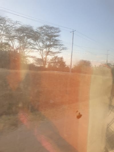 A rural landscape with bare trees and a power line stretching across a blue sky. A road borders the trees. The view appears to be through a window with reflections and orange tinting. A brown spot is visible on the surface of the window. The scene seems hazy due to the reflections.