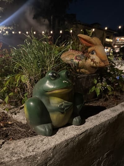A nighttime photograph taken in Santa Cruz Aquiahuac, Mexico, depicts an outdoor decorative scene. In the foreground, a green and pale yellow frog statue is positioned on a grey, textured concrete ledge. The frog faces slightly right, and its painted surface shows minor wear and chipping. Behind the frog, amidst dense green foliage, a light brown rabbit head statue or planter is visible, resting on a dark tree stump. This rabbit figure features painted decorative patterns. The background displays a horizontal string of illuminated globe lights, casting light on distant, dimly visible building structures and silhouetted trees against a dark sky. A faint luminous haze is present in the upper left of the image. No human subjects or discernible actions are observed.