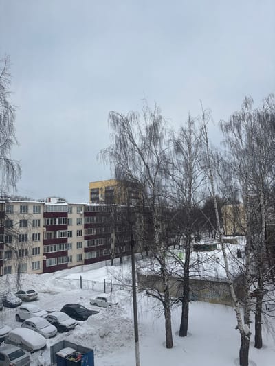 The image displays a snow-covered urban residential environment in Nizhnekamsk, Russia, under an overcast, light grey sky. In the foreground on the right, several tall, deciduous birch trees with bare, slender branches rise from a thick layer of snow covering the ground. To the left of the trees, a residential courtyard is heavily blanketed in snow, containing approximately ten parked vehicles, many of which are partially obscured by snow accumulation. A blue, open-top refuse dumpster is visible in the lower left quadrant. Behind the courtyard and vehicles, a five-story residential building with alternating light-colored and dark red-brown facade panels, numerous windows, and enclosed balconies stands prominently. A narrow, cleared pathway through the snow leads to a dark metal gate positioned in front of the building. In the background, a taller, multi-story building with a yellowish-brown exterior is discernible behind the five-story structure. Additional bare trees and indistinct urban structures are visible further in the distance. No human figures, explicit actions, or interactions are present in the scene.