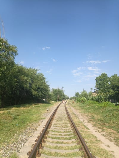 The image depicts a straight railway track receding into the distance under a clear blue sky with scattered white clouds. On the left side of the tracks, a dense line of green trees creates a lush border, with taller trees reaching towards the sky in the foreground. The ground next to the tracks is covered in green grass and gravel. On the right side of the tracks, there is also green grass and a dirt path, with scattered vegetation and trees. In the middle distance, a person wearing light-colored clothing is walking along the tracks, and two animals, appearing to be cows, are grazing in the grassy area to the right of the tracks. Further in the background, more trees and some buildings are visible, suggesting a rural or semi-rural setting. The scene appears to be a sunny day in the city of Нуъмон Розиқ, Tajikistan, with the railway line serving as a central element of the landscape.