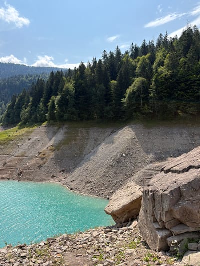 The image depicts a natural landscape with a body of turquoise water in the foreground, bordered by a rocky, dry shoreline. Behind the shoreline, a steep, barren slope covered in gravel and smaller rocks rises sharply, showing distinct horizontal terraces that suggest a former waterline. At the top of this slope, a dense evergreen forest begins, with tall coniferous trees forming a thick canopy that extends up a mountain. The sky above is blue with scattered white clouds. In the immediate foreground, large, weathered rocks are prominent on the bank. The overall scene is one of a dry lakebed or reservoir, with the water level significantly receded, revealing the exposed banks and surrounding forest. There are no people or animals visible in the image.
