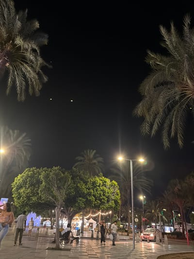 The image depicts a nighttime scene in Sant Antoni de Portmany, Spain, likely a promenade or plaza area, with palm trees framing the view. The lighting suggests it is after sunset, with streetlights and string lights illuminating the area.

The primary subjects are several people walking and standing. One individual in the foreground appears to be taking a photo with a smartphone. Further back, a couple is seen standing near a large tree. Other individuals are visible in the background, some near a street or market area with tents and stalls. A white car is parked on the side of the street. The overall atmosphere seems relaxed, with people enjoying a pleasant evening.

Notable details include the lush greenery of the palm trees and a large, mature tree in the midground. The ground is paved with patterned tiles, and there are several streetlights with bright, warm bulbs. In the distance, a fountain with blue lighting is visible. The sky is dark, with only a few faint lights that might be stars or distant aircraft. There is no visible text in the image.