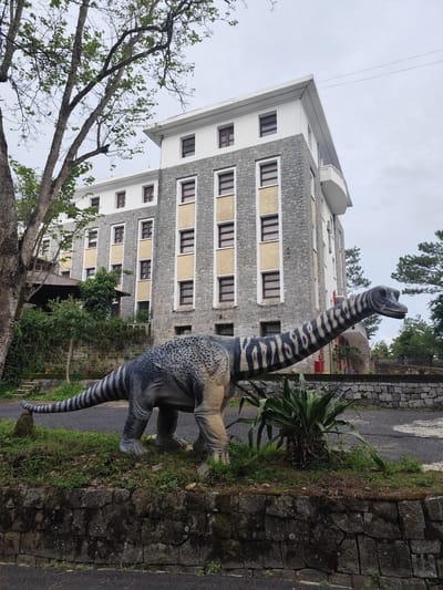 A cloudy day in Lang Biang - Đà Lạt, Vietnam. In the foreground stands a life-sized model of a long-necked dinosaur with a grey, spotted body and striped neck and tail, positioned on a raised patch of grass and plants surrounded by a stone wall. Behind the dinosaur, a multi-story building with a white top and grey stone lower floors with tan panels between the windows rises prominently. A large tree with spreading branches frames the left side of the building. The environment is lush, with greenery visible behind the building and along the roadside. The atmosphere appears overcast, creating a muted color palette.