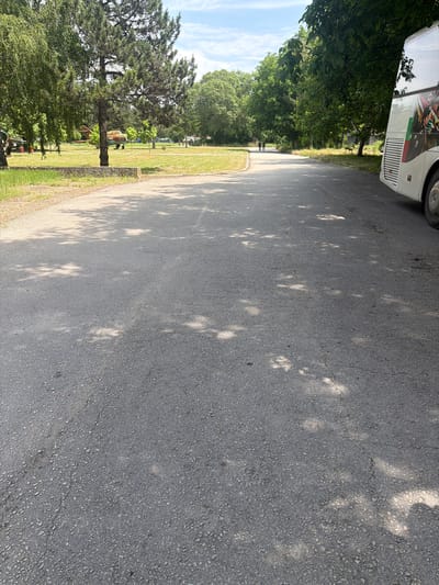 The scene is a road in Dolna Mitropolia, Bulgaria, lined with trees and greenery. The road surface is asphalt, marked with dappled shadows from the trees. A white bus with visible graphics and flags is parked on the left side of the road. In the distance, a grassy area with trees and possibly some structures is visible, suggesting a park or cemetery. The sky is partly cloudy.
