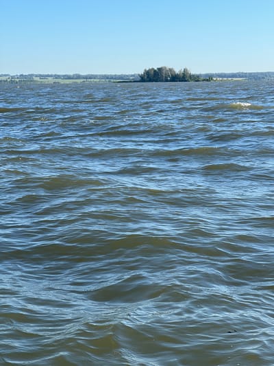 The image shows a body of water, likely a lake or large river, with choppy waves under a clear blue sky. In the distance, a treed island or peninsula is visible, with a tree line and agricultural fields forming the horizon. The location is identified as Novopichugovo, Russia. There are no people or animals present in the image. The water appears a murky blue-green color, reflecting the sky and surrounding landscape.