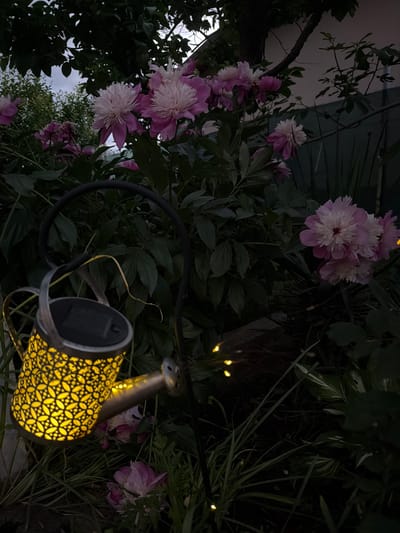 The image depicts a nighttime garden scene. Pink and white peonies are prominent, interspersed with dark green foliage. A watering can with a decorative, perforated body emitting a warm, yellow light is positioned in the foreground. Faint yellow string lights are also visible amidst the plants. The location, Miriantsi, Bulgaria, is specified but not visually evident within the image.