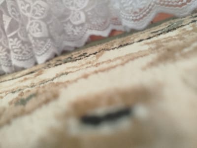 This is a close-up, angled shot of a carpet with a white lace curtain in the background. The carpet has a pattern of horizontal stripes in shades of cream, tan, and black, with hints of green. The texture of the carpet appears soft and plush. The lace curtain is draped over what seems to be a piece of furniture or a bed, with intricate floral patterns visible through the blur. The lighting is soft, suggesting an indoor setting, possibly in the daytime. The overall impression is one of domestic comfort and detail. No specific activity or event is depicted, and no text is visible. The scene is undated and does not convey a specific mood beyond a general sense of quietude.