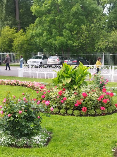 The image depicts a park scene in Pushkin, Russia. In the foreground, a vibrant flowerbed is filled with pink roses and other colorful flowers, with a lush green lawn surrounding it. Behind the flowerbed, a white decorative fence separates the park area from a paved pathway where two people are walking. Beyond the fence, several cars are parked, including a white SUV and a black sedan. In the background, dense green trees create a natural backdrop. The lighting suggests it is daytime, likely with overcast weather. The overall scene conveys a peaceful and pleasant atmosphere. No visible text is present in the image.