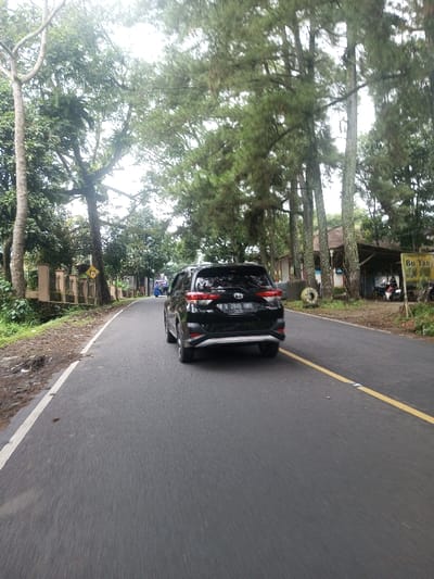 A black SUV drives on an asphalt road through a lush, green landscape. Trees line both sides of the road, some towering high above. A yellow line marks the road's edge. A building and small shop with the name "Bu Yan" are visible in the background. Another vehicle appears far down the road ahead of the SUV. The scene suggests a journey through a natural, possibly rural setting.