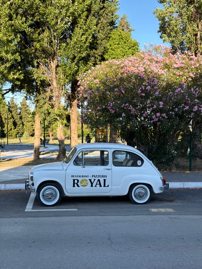A white vintage Fiat 600 is parked in a parking space on a street. The car has a logo on its side that reads "RESTAURANT - PIZZERIA ROYAL" with a pizza slice graphic. The car is positioned in front of a lush green park with trees and a flowering pink bush. The sun is shining, casting shadows on the ground. The location is the city of Ulcinj, Ulqin, Montenegro.