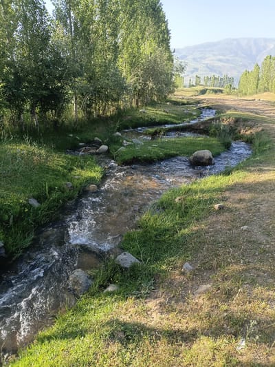 This image depicts a natural landscape scene in the vicinity of Kashkarona, Tajikistan. A narrow, shallow stream with clear, flowing water is the central focus, meandering through lush green grass and a dirt path. The stream bed is visible, with stones and rocks interspersed along its course. The banks of the stream are covered with dense green grass, with a few scattered larger rocks. Tall, slender trees with dense green foliage line the left side of the frame, casting shadows. In the background, more trees are visible, forming a line that recedes into the distance. Beyond the trees, rolling hills and mountains can be seen under a clear, bright sky. The overall impression is one of a serene, rural environment during daylight hours. There are no people or animals visible in the image.