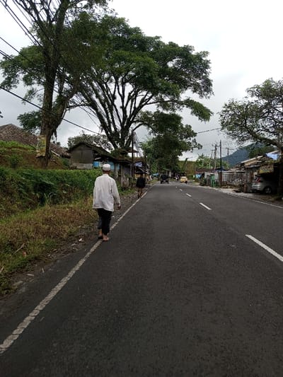 The image depicts a rural or semi-urban road in Serpang Shalli, Bhutan, under an overcast sky. In the immediate foreground, a male individual, viewed from behind, walks away from the viewer along the left edge of a two-lane asphalt road. He wears a white long-sleeved top, dark trousers, and a white skullcap, with his feet appearing bare or in sandals. A second male individual in dark clothing is visible further down the road, also walking away on the left side. The road features a solid white line on its left edge and a dashed white centerline.
To the left of the road, a dense embankment of overgrown grass and small bushes rises, topped by several large, mature trees with extensive green foliage. Multiple utility lines are strung through the branches of the largest tree on the left. Behind the vegetation, rustic-looking buildings with dark roofs are visible. On the right side of the road, a succession of buildings, some appearing residential, line the thoroughfare, with utility poles and wires running alongside.
Vehicles are present in the mid-ground, including a dark SUV or pickup truck and a yellow vehicle, both moving away from the viewer. A silver car is parked on the far right. Distant mountains or hills are visible on the horizon, beneath the cloudy sky.