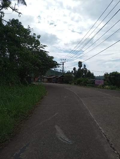 The image displays a two-lane asphalt road curving gently to the right in the distance, situated in Ariyalai, Sri Lanka, under an overcast sky with scattered white and grey clouds. The road surface exhibits crack lines and patches.
To the left of the road, a steep embankment is covered in tall, unkempt green grass, topped by a large, leafy tree dominating the mid-left frame. Beyond the tree and further down the road, several small, rudimentary structures with corrugated metal roofs are visible, appearing clustered. A blue vehicle, possibly a small truck or van, is partially discernible near these structures. A small red object is also visible in this vicinity.
To the right of the road, shorter green foliage lines the shoulder, interspersed with smaller trees. A utility pole with multiple dark overhead power lines extends diagonally upwards and to the right, traversing the frame. Further down on the right side, a rectangular pink sign with white text is mounted. The background features distant green hills or mountains under the cloudy sky. No individuals are visibly present in the immediate foreground or midground.