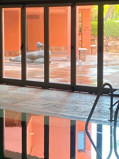 This image depicts an indoor swimming pool area with large glass doors that offer a view of an outdoor space. The interior of the pool area is visible in the foreground, with the water reflecting the orange walls of the adjacent room. A dark metal pool ladder is also present.
Through the glass doors, a large abstract sculpture of a reclining figure is visible. The sculpture appears to be made of a light-colored material and is placed on a light-colored platform. Beyond the sculpture, there is an outdoor area with orange walls, stone walls, lush green vegetation, and some potted plants. A sign with the reversed text "SALINAS" is visible on one of the orange pillars. The ground outside appears to be wet, suggesting recent rain or a sprinkler system. The overall impression is that of a resort or a luxury spa setting.
While the image is not definitive, the presence of the "SALINAS" sign strongly suggests the location is the hotel "Salinas" in Estepona, Spain.