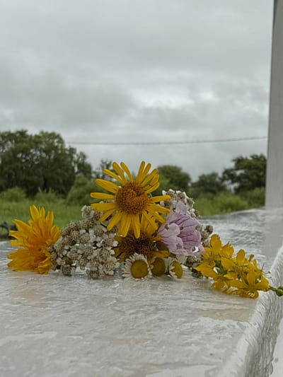 A close-up, low-angle shot captures a bouquet of wildflowers resting on a wet, white surface. The bouquet consists of various species, including several bright yellow daisy-like flowers, a cluster of tiny white flowers, a few small pale purple flowers with delicate stripes, and a spray of small yellow flowers to the right. The white surface appears textured and is glistening with water, suggesting a recent rain or dew. In the background, out of focus, is a landscape of green trees and grass under a heavily overcast, grey sky. A thin white pole is visible on the right edge of the frame. The scene appears to be outdoors, with the overcast sky and wet surface indicating a damp or rainy day. The location is identified as Vozdvijenka, Russia.