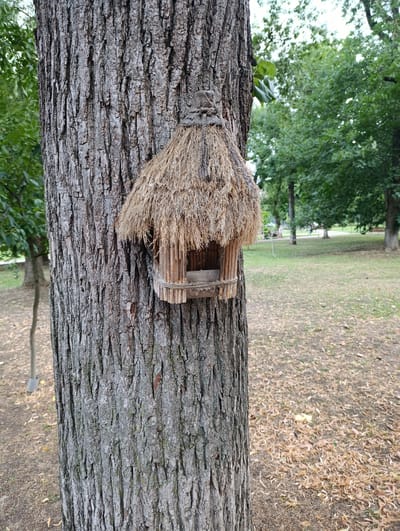 A close-up shot shows a small, rustic birdhouse attached to the textured bark of a tree. The birdhouse has a thatched roof made of dried grass and walls constructed from thin wooden sticks. The base of the birdhouse is a shallow tray, possibly for food or water. In the background, a park setting is visible with green trees, a grassy lawn covered in fallen leaves, and a path. Several blurred figures can be seen in the distance, suggesting the location is a public park. The overall impression is one of a natural, outdoor environment within a city.
