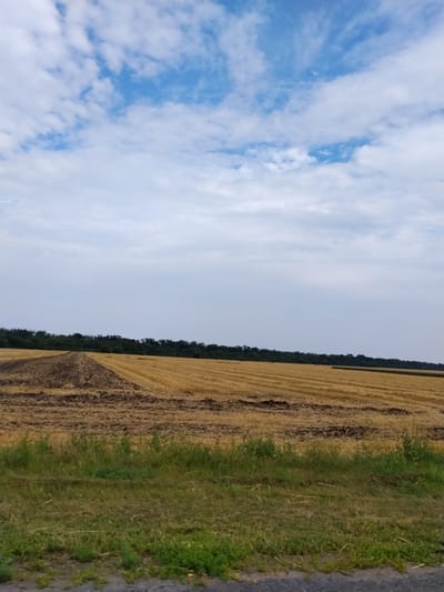 The image depicts a rural landscape in Hoholeve, Ukraine. The foreground features a strip of green grass and vegetation adjacent to a grey, possibly paved, surface. Behind this, a field stretches into the middle ground, divided into sections. One section shows freshly plowed dark brown earth, while the other is a harvested field of golden stubble, exhibiting clear rows from agricultural machinery. In the background, a dense line of dark green trees forms a natural horizon, with the sky above filled with scattered white clouds against a pale blue backdrop. There are no people or animals visible in the scene.