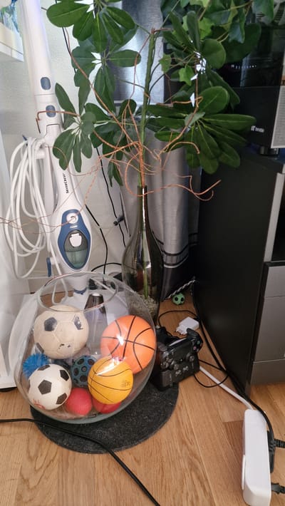 The image depicts an indoor scene, likely a living room in Stockholm, Sweden, featuring a variety of objects on a wooden floor. Prominently displayed is a clear glass bowl filled with several toy balls, including a white soccer ball with black pentagons, an orange basketball, a smaller orange ball, and a blue speckled ball. To the left of the bowl, a white steam cleaner with blue accents stands upright, its power cord coiled nearby. Behind the bowl and steam cleaner, a large dark grey curtain with a patterned band is visible. A tall glass vase containing decorative branches and small stones stands to the right of the curtain. In the foreground, to the right of the glass bowl, a black video game controller and a charging dock are placed on a dark grey circular mat. A white power strip with several plugs is situated on the floor to the far right. A small green frog figurine is placed on the floor near the vase. The overall impression is of a domestic setting with items related to leisure and cleaning.