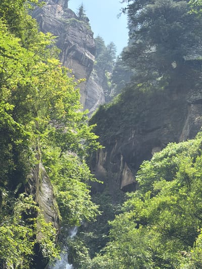 The image depicts a view from the village of Bahang in India, showcasing a lush green canyon carved into a steep cliff face. The canyon is densely covered with vibrant green foliage, with trees and plants clinging to the rocky slopes. Sunlight filters through the leaves, creating dappled patterns and highlighting the textures of the vegetation and the stone. In the distance, a waterfall cascades down the cliff, partially obscured by the greenery. The sky above is a clear, pale blue. The overall scene conveys a sense of natural beauty and the rugged terrain of the region.