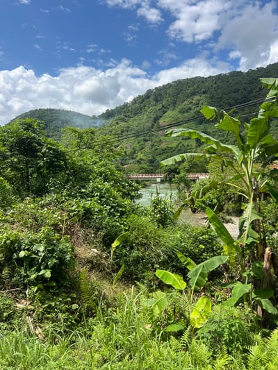 The image shows a lush green landscape with a river and a bridge in the background, located in Thuận Hòa Commune, Vietnam. The foreground is dominated by dense vegetation, including banana trees and ferns, with tall green grass. In the middle ground, a wide, calm river flows from right to left. A white concrete bridge with red railings spans the river, connecting the two banks. Behind the river and bridge, steep, heavily forested hills rise. The sky is a bright blue with scattered white clouds. There is a faint plume of smoke rising from the forested hillside in the distance. Electrical wires are visible strung across the scene, supported by poles. The scene appears to be a natural, rural environment.