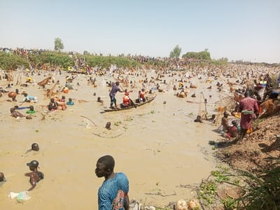 The image captures a large-scale communal fishing event in a wide, turbid, brownish-yellow body of water within the city of Kokani North, Nigeria. Hundreds of individuals, primarily male, are actively wading in the shallow water, many holding and deploying traditional conical fishing nets. At least one wooden canoe, carrying multiple occupants including one person wearing an orange life vest, is present in the middle ground, with individuals inside also engaged in fishing. A dense crowd of observers lines the elevated far bank, spanning the entire width of the scene. On the muddy foreground bank, several individuals are standing or seated. Two men are prominent in the immediate foreground: one in a blue and white striped shirt stands with his back partially towards the camera, and another is partially submerged in the water to the left, wearing a dark cap. The environment is open-air under a clear, light blue sky, with sparse vegetation lining the banks.