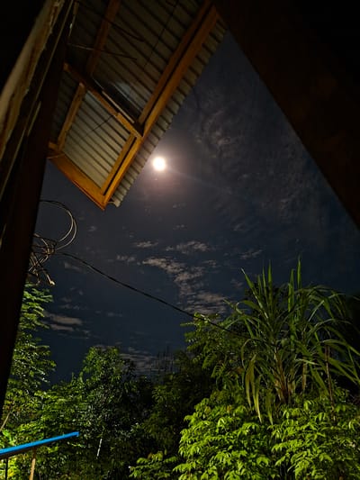 The image, taken at night in Pie, Indonesia, presents a low-angle view from what appears to be an outdoor or partially enclosed space. A corrugated metal roof with a wooden frame is visible in the lower left quadrant of the image, partially obscuring the sky. The sky is dark blue, dotted with light clouds, and illuminated by a bright full moon situated slightly above the roof structure. To the right of the frame, lush green foliage and trees fill the scene, suggesting a garden or heavily vegetated area. A thin black wire stretches diagonally across the sky, from the vegetation towards the roof. In the lower-center, what looks like coiled cables are present, possibly related to electrical or utility systems. The overall scene has a low-light aesthetic, with highlights created by the moon and artificial lighting within the vegetation.