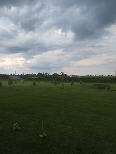 This media file depicts an outdoor scene in Romanivka, Ukraine, under a cloudy sky. The foreground is dominated by a vast expanse of neatly mown green grass, punctuated by a few small, young trees and wooden stakes supporting some vegetation. In the mid-ground, a gentle slope rises, topped with more trees and vegetation. A small pond is visible on the right side of the mid-ground. Further in the background, a concrete structure with arches can be seen on the left, possibly an overpass or bridge. Beyond that, a line of trees forms the horizon, with several streetlights scattered along the elevated embankment. In the far distance, buildings and infrastructure are faintly visible. The sky is heavily laden with dark, overcast clouds, suggesting an impending storm or the aftermath of rain. The overall mood is somber and tranquil, with the lack of direct sunlight contributing to the muted colors. No people or discernible activities are taking place in the image. The time of day appears to be late afternoon or early evening due to the low light conditions.