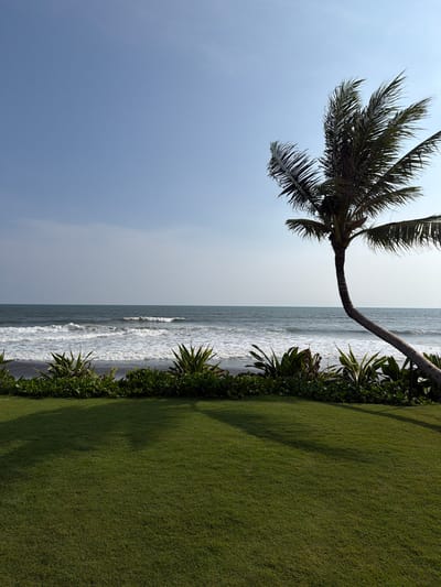 This image captures a serene coastal landscape during daytime, likely a tropical or subtropical location. The perspective is a horizontal panorama, with the scene divided into three main horizontal bands: sky, ocean, and land.
In the upper portion of the image, the sky is a soft, muted light blue or pale grey-blue, indicating either a slightly overcast day, early morning, or late afternoon light. There are no distinct clouds, but a gentle haziness is present.
Stretching across the middle of the frame is the ocean, a deep blue-grey color. White, foamy waves can be seen breaking and receding towards the shore, creating a dynamic texture on the water's surface. The ocean appears calm but not entirely still, with visible ripples and the consistent pattern of breaking waves.
The lower portion of the image is occupied by a well-maintained, vibrant green lawn. The grass appears thickly grown and manicured, suggesting it is part of a resort, park, or private property adjacent to the beach. Along the edge where the grass meets the ocean, there is a boundary of dense, dark green foliage, consisting of various shrubs and leafy plants that act as a natural barrier or landscaping element.
A prominent feature in the left part of the image is a single palm tree. Its long, slender trunk curves gracefully from the lower left corner upwards and then gently leans towards the center of the frame, extending over the ocean. The dark green fronds of the palm tree are visible against the lighter sky, fanning out and providing shade.
The lighting creates subtle shadows, particularly visible on the grass, suggesting the sun is at an angle rather than directly overhead. No people, animals, or artificial structures are visible, contributing to the tranquil and natural feel of the scene. No text is visible in the image.