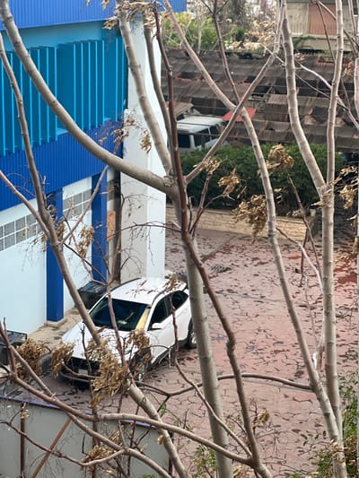 An elevated, forensic perspective depicts a white crossover SUV parked diagonally on a reddish-brown, cracked paved surface in a courtyard within Al-Qanawat Municipality, Syria. The vehicle's front bumper, featuring a dark license plate, faces left, positioned near the base of a multi-story building. This building exhibits a white lower section with rectangular windows and an upper facade characterized by prominent vertical blue panels. The scene is significantly obscured by numerous bare tree branches with sparse, light brown dried leaves, which dominate the foreground and mid-ground. In the background, beyond the paved area, green foliage is visible, followed by multiple structures with corrugated roofs and a partially visible white van. No individuals, discernible actions, or interactions are present.