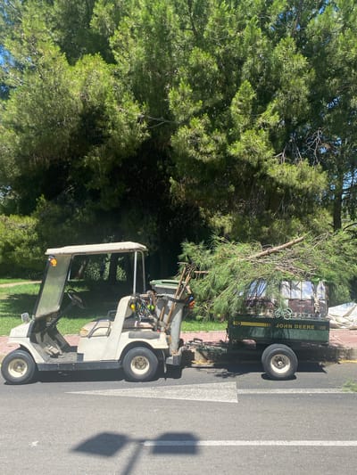 This media file shows a utility golf cart and a green John Deere trailer parked on a paved surface next to a tree-lined area. The golf cart is light-colored and appears to be unoccupied. It has a white canopy and a black steering wheel. The trailer is green with yellow trim and has "JOHN DEERE" printed vertically on its side. It also has the number "10" on the back. The trailer is loaded with what appears to be landscaping materials, including branches and possibly some bags. Tools, such as shovels and rakes, are visible in the bed of the golf cart and in the trailer.
The scene is outdoors, with bright sunlight casting shadows, suggesting it is daytime. The presence of lush green trees and grass indicates a natural or park-like setting. The paved surface with white lines could be a road, path, or parking area, possibly within a golf course or a similar recreational facility. The time of day is likely mid-morning to late afternoon, given the intensity and angle of the sunlight and the shadows. There is no visible indication of any specific event taking place, other than the parking of the vehicles, suggesting they are either in use for maintenance work or are temporarily stored. The overall mood of the image is neutral and functional, depicting a typical scene of groundskeeping equipment.
No people are visible in the frame. The location cues, such as the trees and the overall ambiance, are consistent with a warm climate, which aligns with the provided location context of Estepona, Spain.