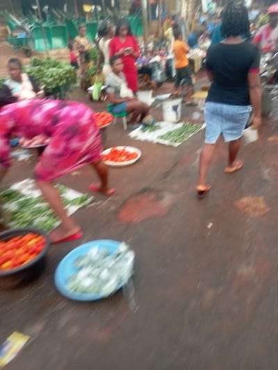 The image captures a vibrant and somewhat blurry outdoor market scene, likely during daytime. The ground appears to be a mix of dirt and worn pavement, with visible damp patches.

In the immediate foreground on the left, a person wearing a brightly patterned pink and white dress is bent over, facing away from the camera, seemingly tending to or arranging produce. They are wearing red sandals. To their left, a black basin is filled with numerous red and orange items, resembling tomatoes or peppers. Closer to the center, two white plates hold chopped red produce, also likely tomatoes. Slightly to the right and further foreground, a light blue round tray or basin contains a pile of light green or white produce, possibly onions or a similar vegetable, appearing somewhat out of focus due to motion blur.

Moving towards the mid-ground, on the left, a woman with dark skin and braided hair, dressed in a light-colored top, is seated behind a display of green leafy vegetables. Further right, another woman in a red dress stands, looking down at something in her hand, possibly a mobile phone. Next to her, a third woman, wearing a grey top and a blue skirt, sits on a small stool, also behind a spread of produce. On the ground in front of these seated individuals, green vegetables, possibly long beans or okra, are laid out on a white cloth. To the right, a person, possibly a child or young adult, in an orange t-shirt, walks away from the camera.

In the foreground on the right, another person walks away from the camera, wearing a black t-shirt and a light blue denim skirt, with dark, braided hair. They are wearing light-colored sandals and appear to be carrying a small, indistinct object in their left hand.

The background is busy with several other blurred figures, indicating a bustling market environment. Green wheelbarrows are visible on the far left in the background, suggesting goods transport or a storage area. The overall impression is a lively, informal marketplace where fresh produce is being sold. No discernible text is visible in the image.