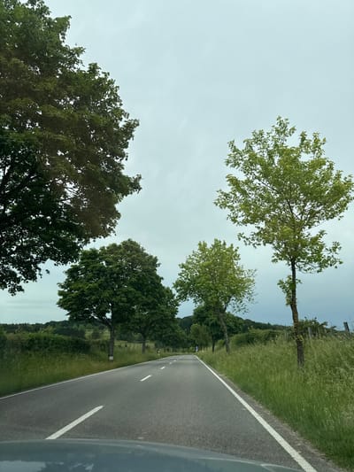 The image depicts a road scene in Junglinster, Luxembourg. A gray asphalt road with white lane markings is visible, flanked by grassy verges. Trees line the roadside, exhibiting varying shades of green foliage. The sky is overcast. No people or interactions are visible.