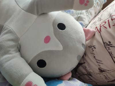 A close-up, eye-level shot focuses on the head and arm of a white and grey stuffed cat toy, lying on its side. The toy's face is partially obscured, with a black embroidered eye visible on the right side of its head. A pink circular marking is present on its cheek. The toy's left arm is extended upwards, showing a white paw with pink embroidered toe beans. The background consists of fabric surfaces. One is a light-colored fabric with a delicate blue floral pattern, partially visible behind the toy. To the right, a larger, tan-colored cushion or pillow is visible, featuring dark script and line drawings, including the partial word "PARIS". The lighting is diffused, suggesting an indoor setting. The image does not provide any specific details that would allow for location identification within Narowlya, Belarus.